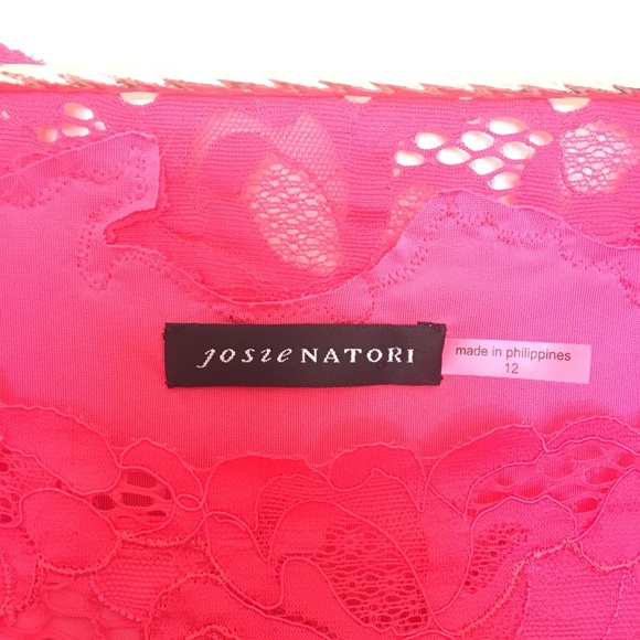 Josie Natori Stretch Lace Dress - Picture 3 of 8